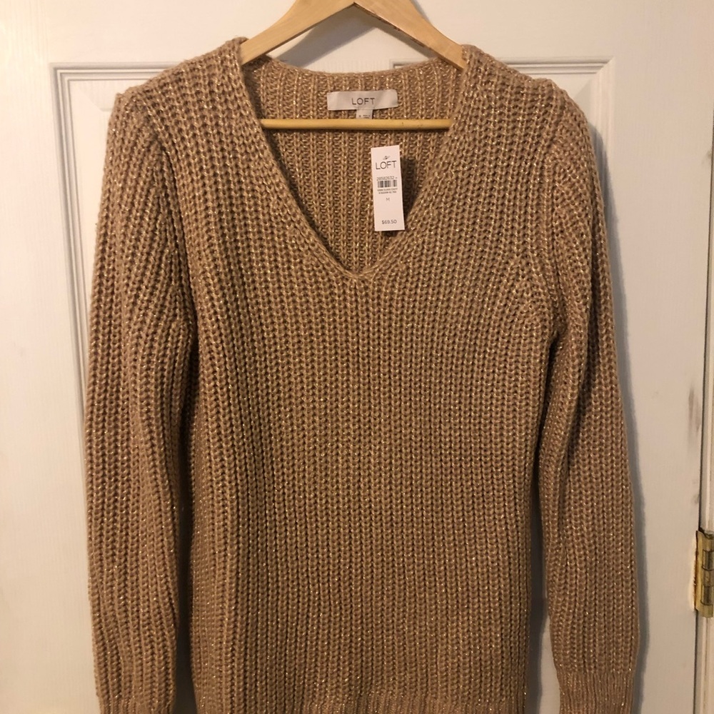 Loft V-neck Shimmer Sweater